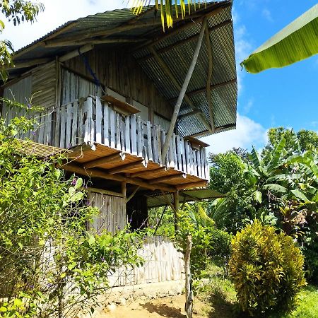 La Munequita Lodge 1 - Culture & Nature Experience Palmar Norte Luaran gambar