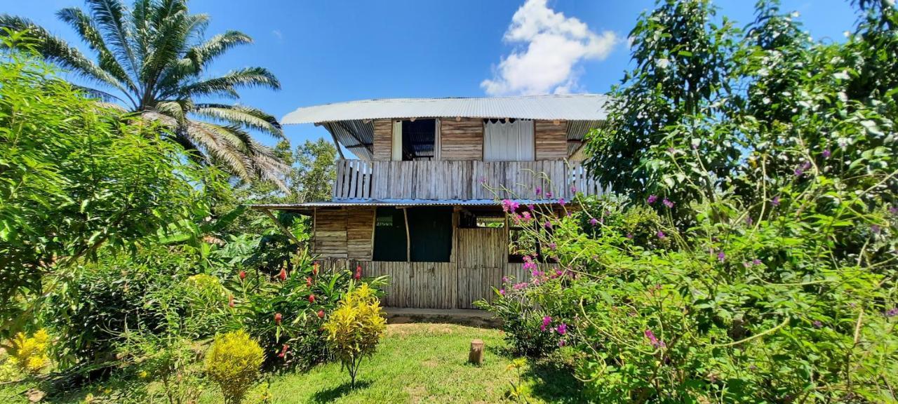La Munequita Lodge 1 - Culture & Nature Experience Palmar Norte Luaran gambar