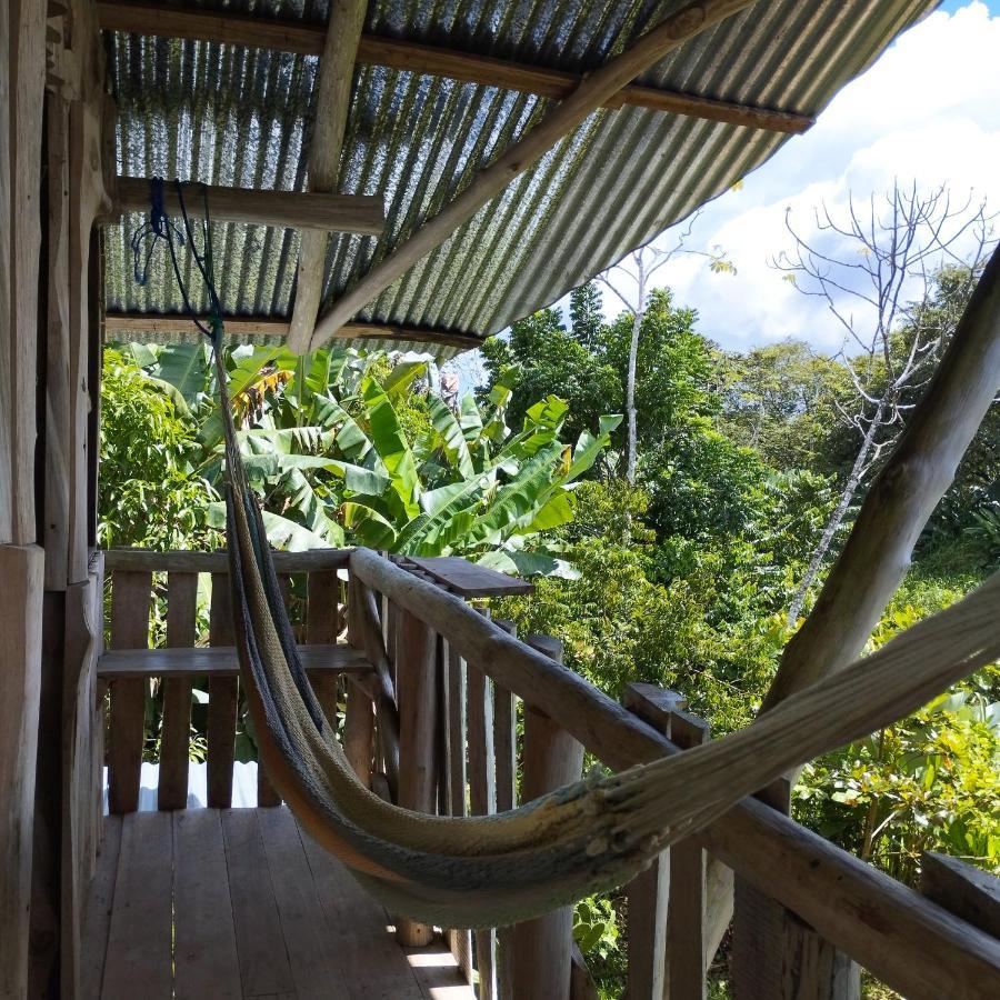 La Munequita Lodge 1 - Culture & Nature Experience Palmar Norte Luaran gambar