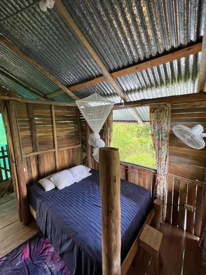 La Munequita Lodge 1 - Culture & Nature Experience Palmar Norte Luaran gambar